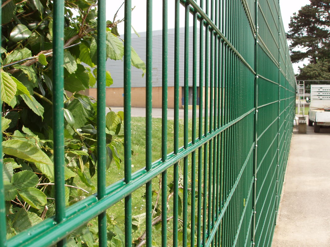 Забор сетка зеленая купить. НС сетка Гиттер 3d Гуд-мастер ППК / 2430*2500 мм (диаметр прутка 6мм), RAL 6005. Забор Гиттер 2д. Ограждение Бастион 2д. Забор Бастион 2д.